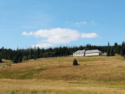 Březník